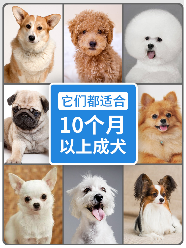 伯纳天纯狗粮小型犬成犬10kg泰迪比熊柯基泪痕博美短毛博纳雪纳瑞 - 图1