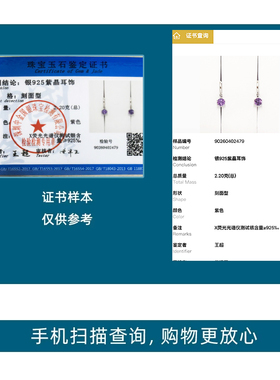 天然紫水晶银耳环女小众高级感轻奢简约六爪耳扣送证书生日礼物
