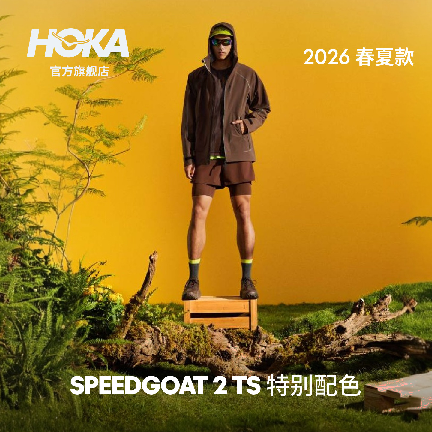 图 3