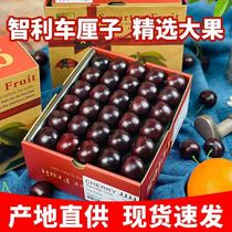 Chilean import carts 4J extra-large fresh fruit 5 catties American black pearl pregnant women gift boxes Courtesy Kit