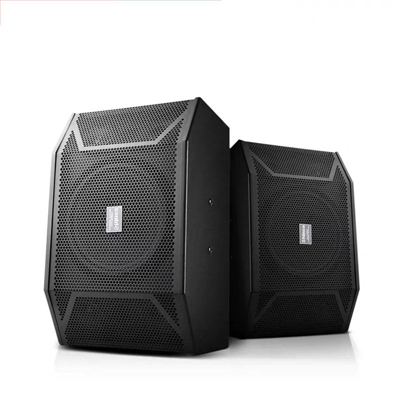 新科家庭ktv专业大功率10寸音响 新科玖利度KTV/卡拉OK音箱