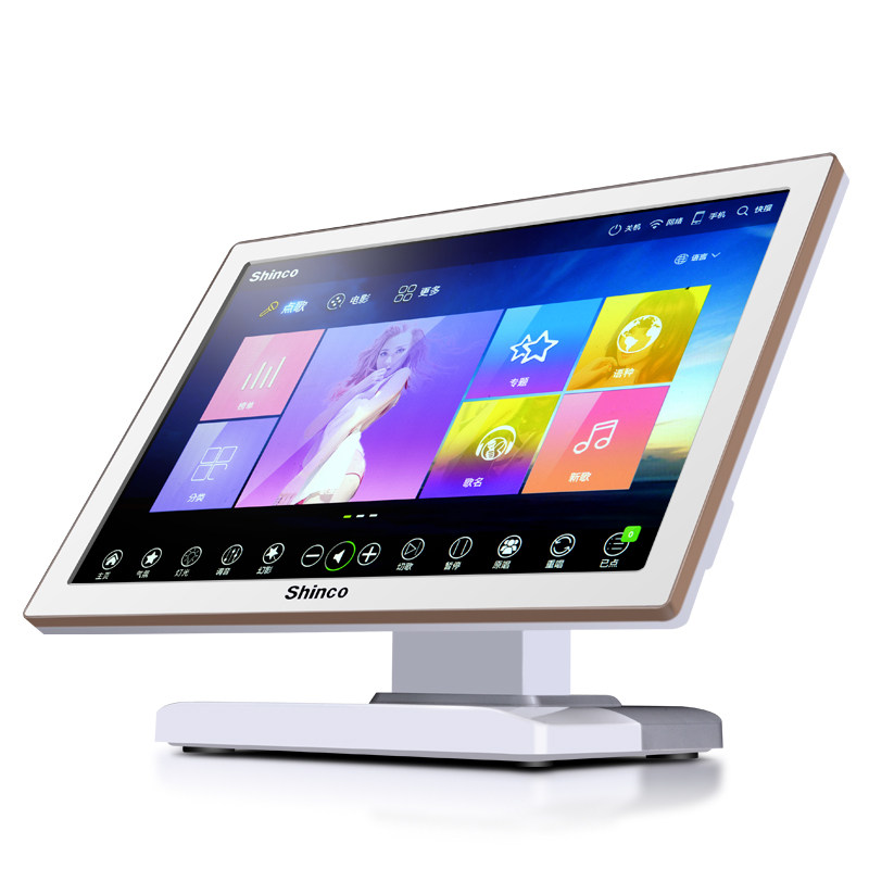  新科玖利度KTV/卡拉OK音箱