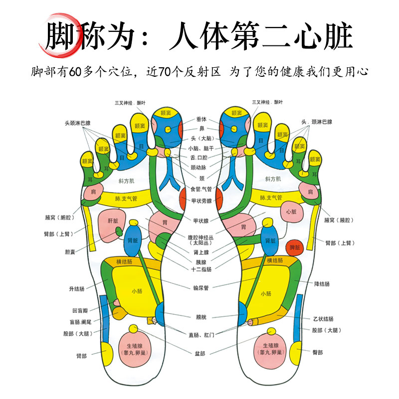 脚灸仪实木制大艾灸盒家用艾灸箱足底大号脚底足疗仪器足部随身灸