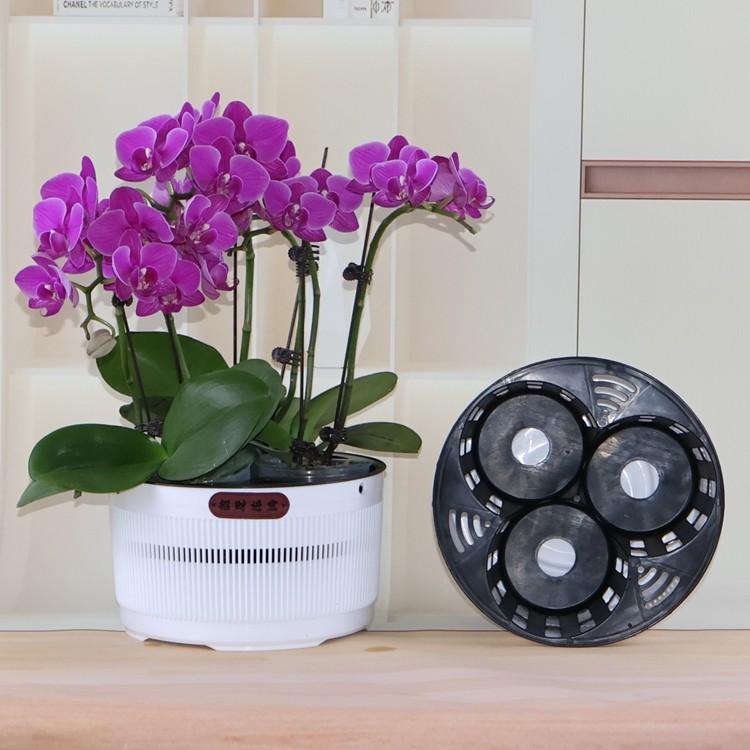 3.5寸兰花杯三孔四孔蝴蝶兰拼组合花盆石斛盆栽育苗钵透气定植篮,淘宝优惠券,粉丝福利购,淘宝优惠卷