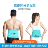 Noteta Lumbarfer, поясничный поясничный поясничный поясничный поясничный поясничный