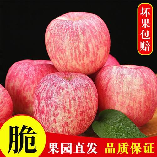 陕西高原红富士脆甜丑苹果3-10斤整箱当季应季新鲜水果批发价包邮-图1