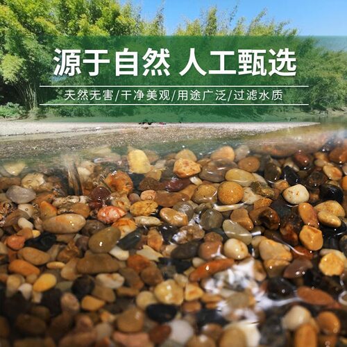 原生溪流石造景鱼缸底砂装饰五彩石大石头子纯天然铺底免洗鹅卵石 - 图0