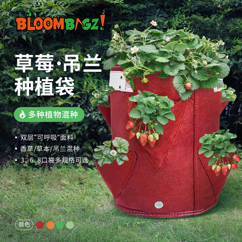 bloombagz草莓种植袋 阳台种菜盆亲子多口袋香草盆栽特大软花盆 - 图0