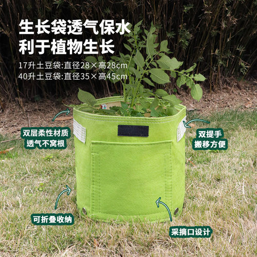 双层土豆种植袋有采摘口 阳台亲子彩色花盆 根茎植物专用种菜神器 - 图0