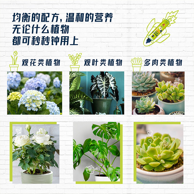 美乐棵营养液园艺通用肥料家庭装小绿瓶免稀释养花肥料临期清仓,淘宝优惠券,粉丝福利购,淘宝优惠卷