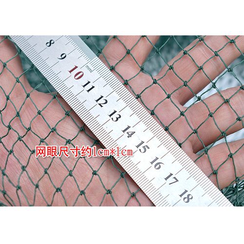 胶丝小鱼护特价尼龙编织鱼兜简易便携可折叠鱼篓小眼网袋渔护 - 图2