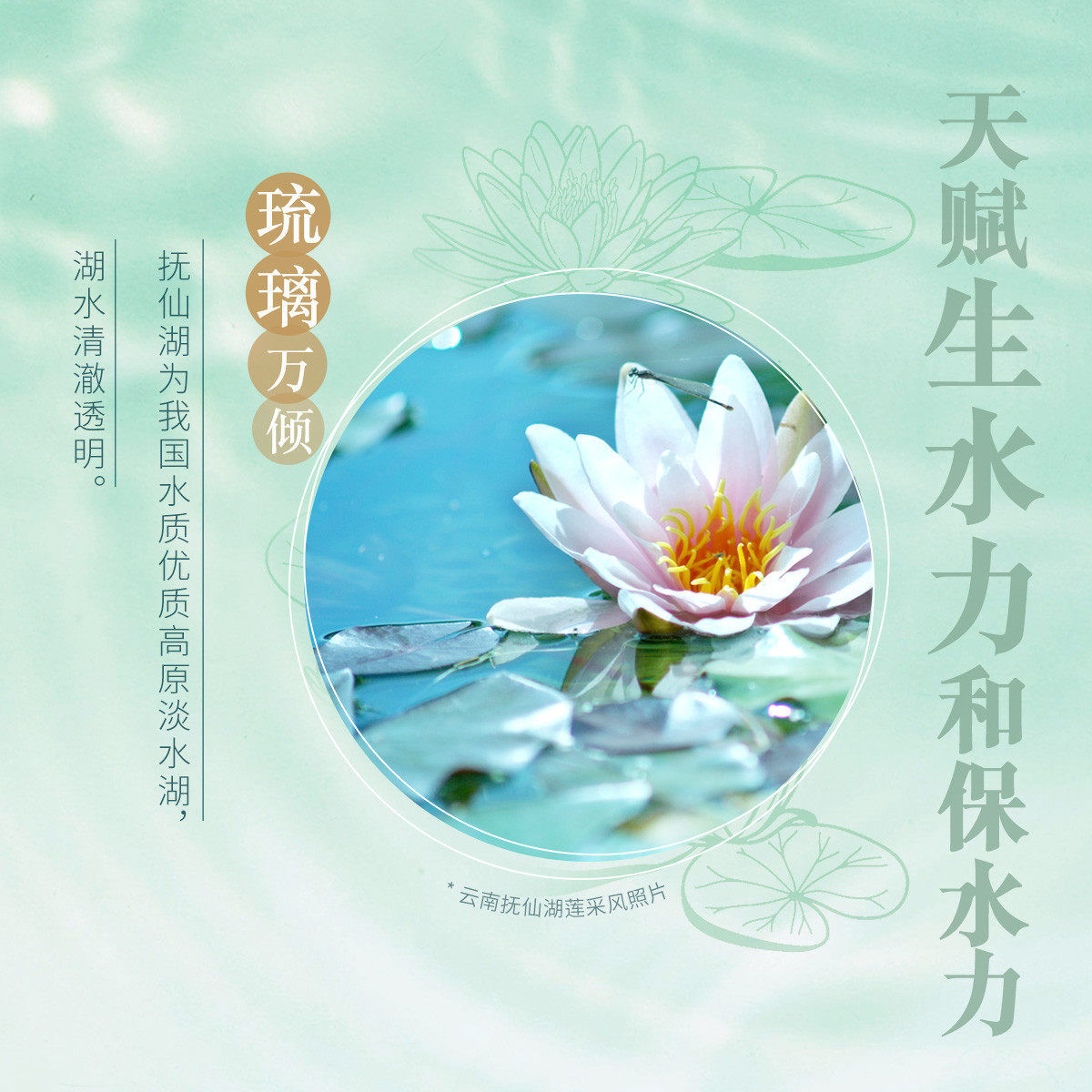 相宜本草莲花生水补水保湿修护面霜 相宜本草若兮乳液/面霜