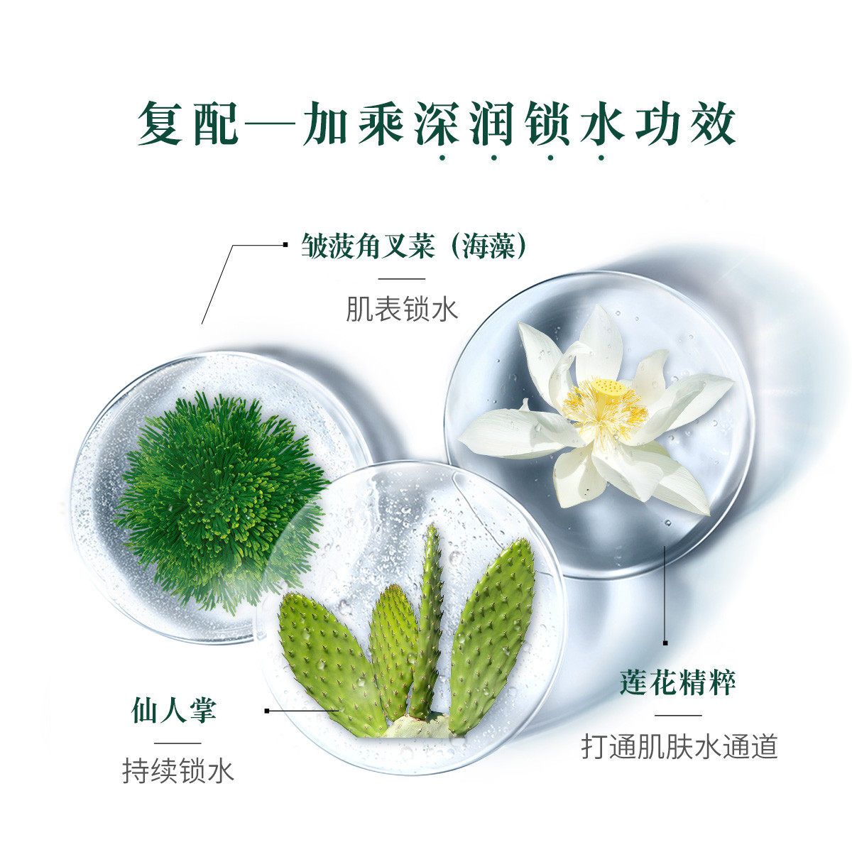 相宜本草莲花生水补水保湿修护面霜 相宜本草若兮乳液/面霜