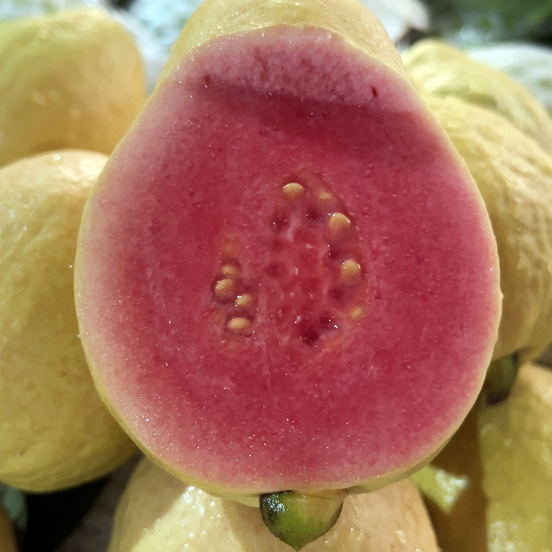 广西软糯红心芭乐5斤水果软心番石榴奶油红心偏小鸡屎果芭乐,淘宝优惠券,粉丝福利购,淘宝优惠卷