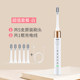 Adult couple electric toothbrush fupai
