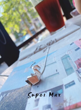 小众纯银冷淡风毛衣链长项链纯银