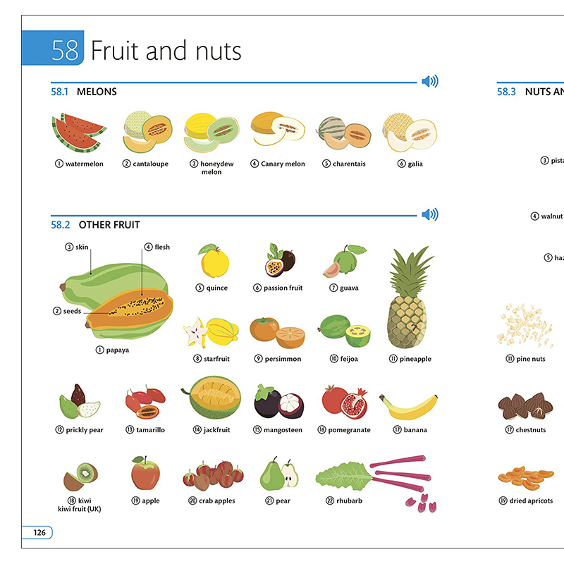 预售 DK英语10000词图解词典 英文原版 单词短语参考指南 illustrated English Dictionary 生活日常常用词汇插图英语学习教材教辅 - 图2