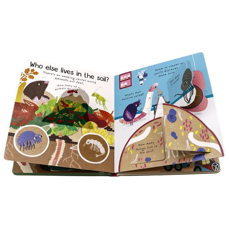 Usborne出品问与答翻翻书系列我为什么需要虫子英文原版绘本First Questions & Answers: Why do we need worms?亲子共读幼儿读本