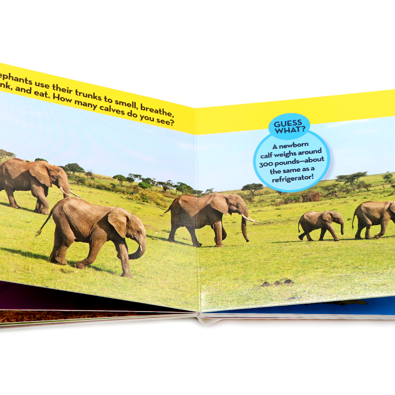 135元4件 美国国家地理看与学系列 National Geographic Kids Look and Learn英文原版绘本 幼儿英语启蒙认知科普百科纸板书少儿版