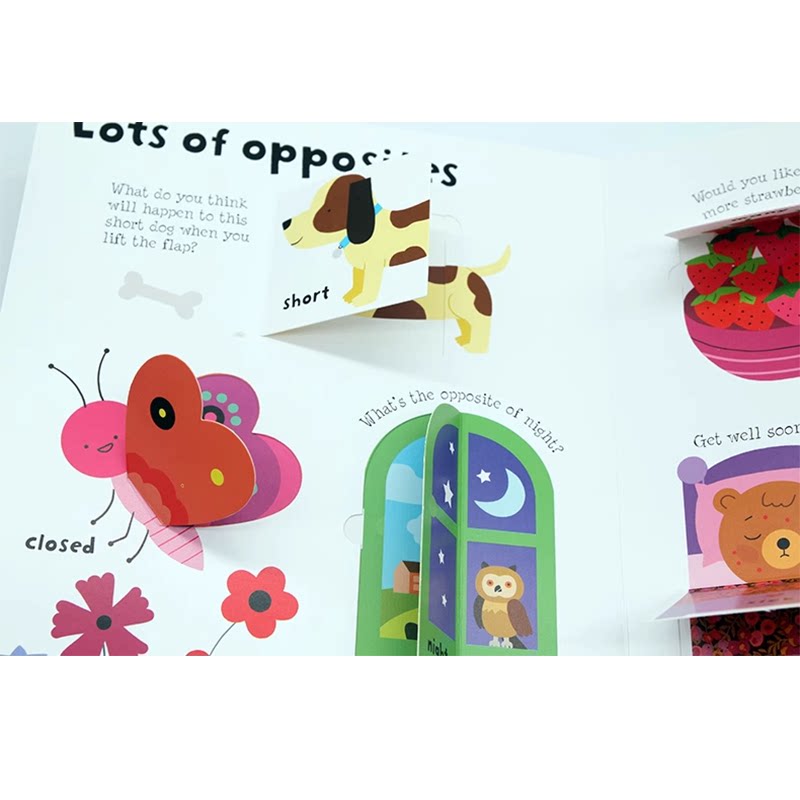 200元4件 Usborne Lift the Flap Numbers Math英文原版绘本元素周期表人体器官字母单词数学颜色英语纸板立体翻翻书 儿童科普百科