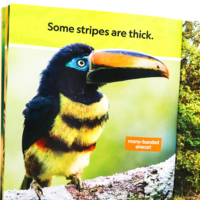 美国国家地理分级阅读系列初阶 条纹与斑点 英文原版 National Geographic(Pre-Readers): Stripes and Spots 儿童英语启蒙读物
