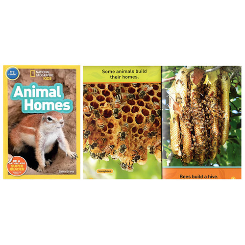 英文原版美国国家地理系列入门级34册一二三阶段分级阅读 National Geographic Kids Pre-reader/Level1/2/3 儿童英语启蒙全彩读物 - 图2