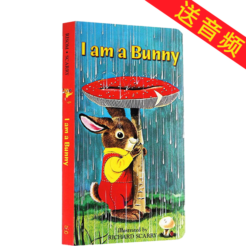 英文原版绘本Karen Katz卡凯伦卡茨系列175元8件 幼儿童英语早教 Where Is Baby