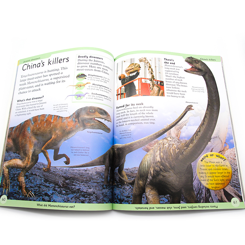 DK我的第一本恐龙百科全书  First Dinosaur Encyclopedia 英文原版 恐龙图解认知启蒙 First Reference 儿童百科科普图书 - 图2