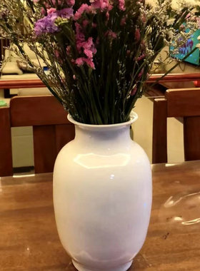 景德镇陶瓷器花瓶纯白色白胎素色葫芦赏瓶中式客厅摆件花瓶装水瓶