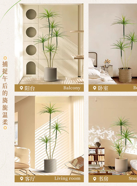 仿真绿植千年木假植物轻奢客厅装饰树室内大型盆栽龙血树落地摆件