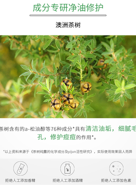 董欣茶树纯露补水官方旗舰正品