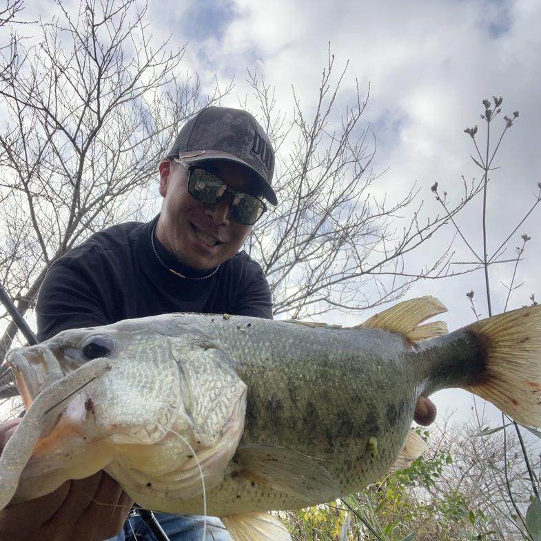 DUO浮水棒棒虫Wriggle ND SLIM3寸日本进口黑坑内德鲈鱼面条虫,淘宝优惠券,粉丝福利购,淘宝优惠卷