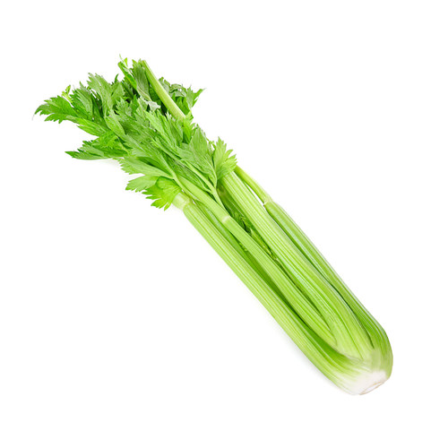 芹菜苗幼苗芹菜秧子苗蔬菜苗西芹秧苗根盆栽蔬菜苗阳台四季播 - 图3