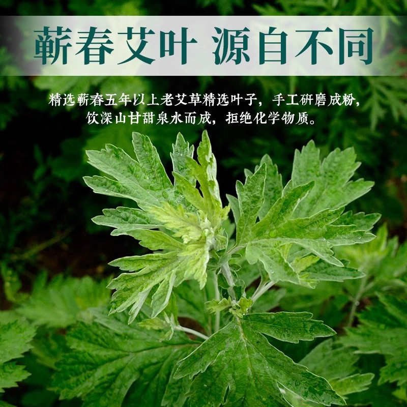 艾草蚊香檀香型家用驱蚊非无毒户外蚊蝇野外持久留香纹蛟文香盘香 - 图0