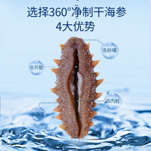 【正宗同仁堂品牌】北京同仁堂海参干货节日礼盒大连净制海参正品 - 图0