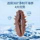Beijing Tongrentang Sea Cucumber Gift Box