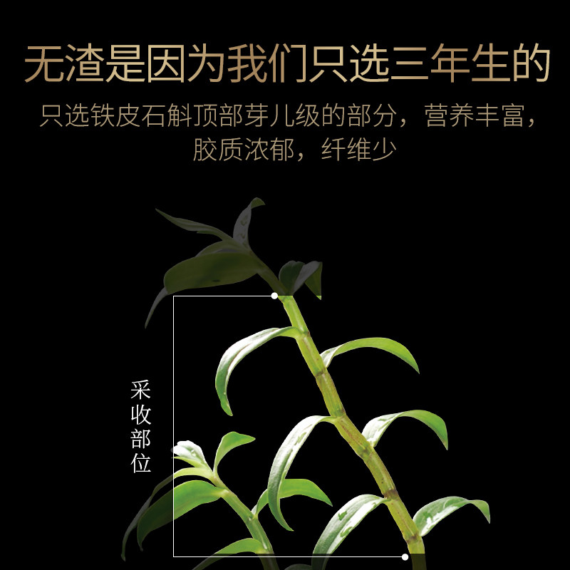 青源堂铁皮优选特优浙江乐清枫斗 青源堂石斛/枫斗