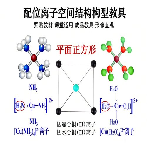 配位离子空间结构模型10件套多型构型全覆盖正四面体正八面体教具 - 图2