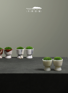 会所会客厅氛围软装高级摆件