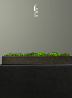 天青苔绿 新中式长方形锤纹金属花器永生苔藓组合 茶空间桌面摆件