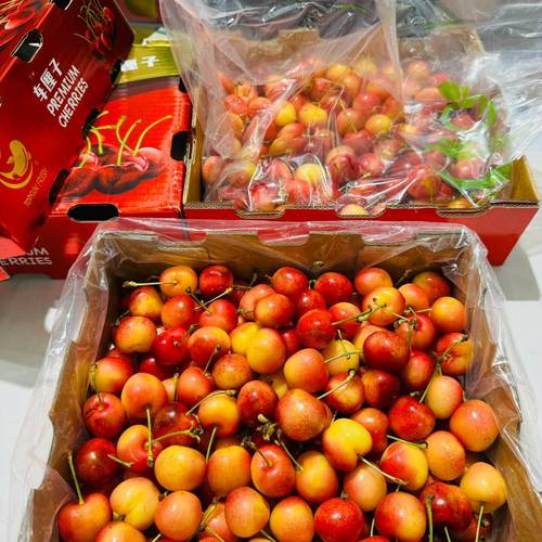 现货4J智利斯凯拉雷黄金车厘子Skylar Rae礼盒新鲜孕妇天空之城 - 图3