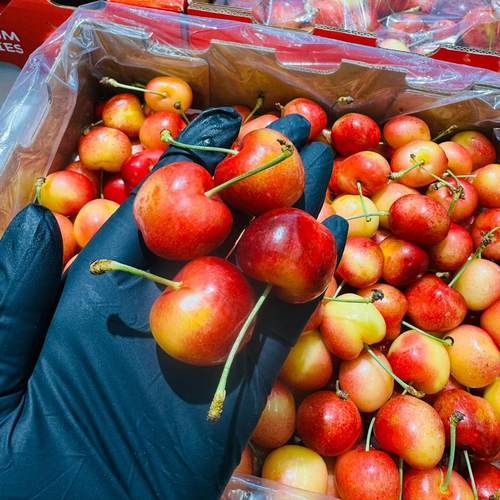 现货4J智利斯凯拉雷黄金车厘子Skylar Rae礼盒新鲜孕妇天空之城 - 图2