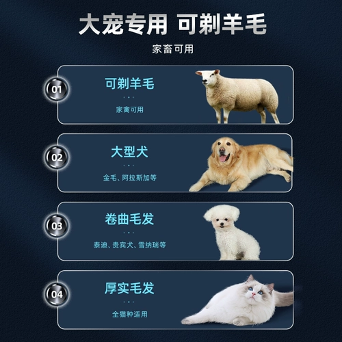 Собака для бритья домашнего животного, плюшевая плюшевая бритва, засоренная ногами собака собака собака, мао мао мао мао мао мао, порезанный кот