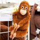 ຫ້ອຍຜ້າມ່ານ gorilla doll IKEA/IKEA