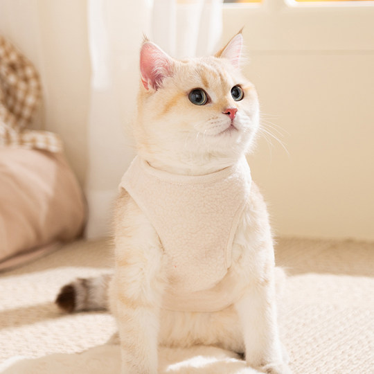猫咪衣服冬季保暖绒衣防掉毛居家服德文猫小猫背心秋冬款马甲毛衣