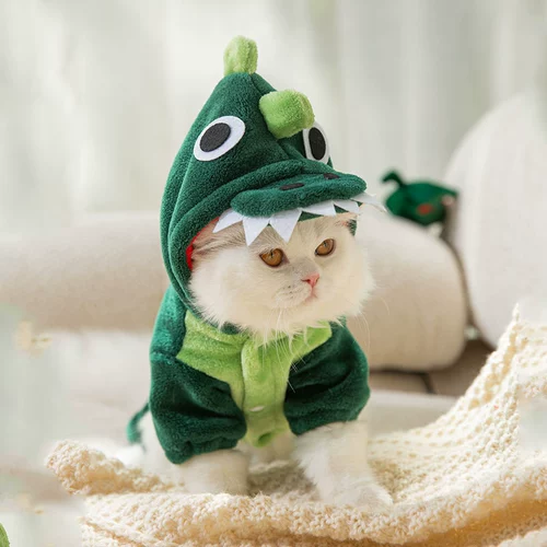 Котенок 衣 小    ㄅ ㄅ ㄅ ㄅ ɡ ɡ ㄨ ㄨ ㄨ ㄨ ㄨ 小 小     小 小 小 小