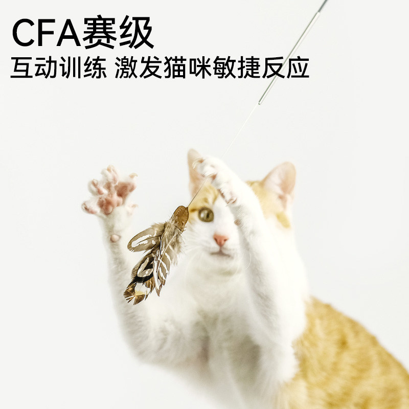 CFA赛级逗猫棒猫咪玩具逗猫棒长杆替换头质量好的逗猫棒逗猫神器,淘宝优惠券,粉丝福利购,淘宝优惠卷