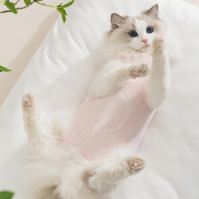 商品缩略图 2