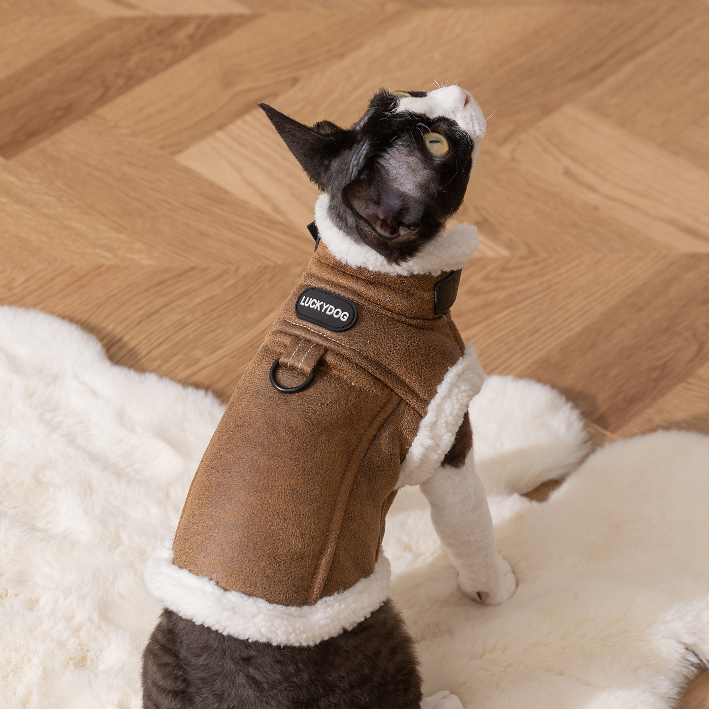 小猫咪衣服冬季保暖背心麂皮马甲带牵引宠物毛衣德文猫冬款羽绒服,淘宝优惠券,粉丝福利购,淘宝优惠卷