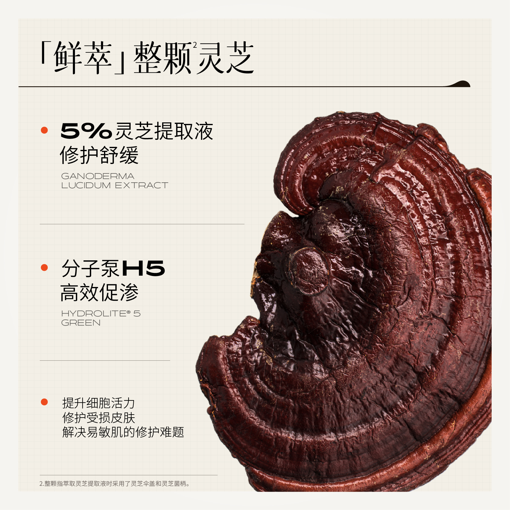 【有效期至25年9月】三草两木小屏风灵芝修护精粹水乳强韧屏障